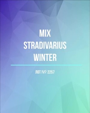 Купить STRADIVARIUS Winter mix#15 кг, ЛОТ №2257 оптом в Пскове и Псковской области