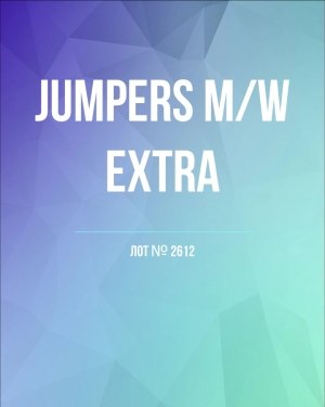 Купить Джемпер муж+жен экстра#15 кг , Лот№2612 оптом в Пскове и Псковской области