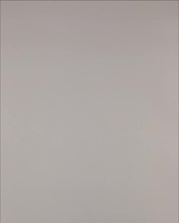 Фотография  939 - Нижнее белье Bon Prix дети#50 шт, ЛОТ №3242 оптом в Пскове и Псковской области