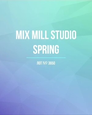 Купить MILL STUDIO Spring mix#15 кг, ЛОТ №3650 оптом в Пскове и Псковской области