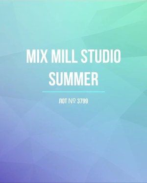 Купить MILL STUDIO Summer mix#15 кг, ЛОТ №3799 оптом в Пскове и Псковской области