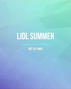 Купить LIDL Summer#20 кг, ЛОТ №4003 оптом в Пскове и Псковской области