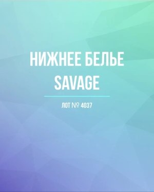 Купить Нижнее белье Savage#50 шт, ЛОТ №4037 оптом в Пскове и Псковской области