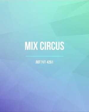 Купить CIRCUS mix #13 кг, ЛОТ №4261 оптом в Пскове и Псковской области