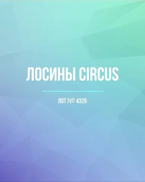 Купить Лосины CIRCUS #6,2 кг, ЛОТ №4326 оптом в Пскове и Псковской области