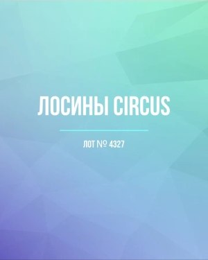 Купить Лосины CIRCUS #6,2 кг, ЛОТ №4327 оптом в Пскове и Псковской области