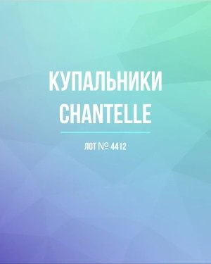 Купить Купальники Chantelle#23 шт, ЛОТ №4412 оптом в Пскове и Псковской области