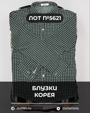 Купить Блузки Корея#20 шт, ЛОТ №5621 оптом в Пскове и Псковской области