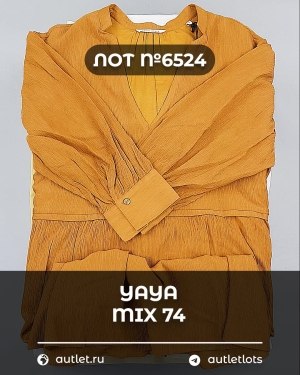 Купить YA YA 062024#39 шт, ЛОТ №6524 оптом в Пскове и Псковской области