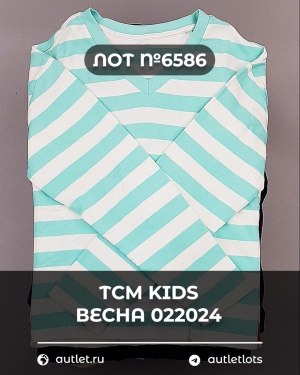 Купить TCM Kids весна 022024#7 кг, ЛОТ №6586 оптом в Пскове и Псковской области