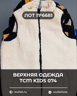 Купить Верхняя одежда TCM kids 074#7 кг, ЛОТ №6681 оптом в Пскове и Псковской области