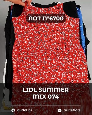 Купить LIDL Summer mix 074#15 кг, ЛОТ №6700 оптом в Пскове и Псковской области