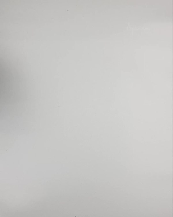 Фотография  526 - Верхняя одежда Дания#10,2 кг ЛОТ №6911 оптом в Пскове и Псковской области