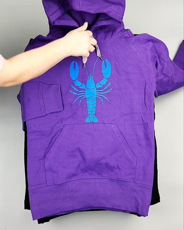 Фотография  200 - Толстовки м/ж (Sweat Tops)#20 кг, ЛОТ №7431 оптом в Пскове и Псковской области