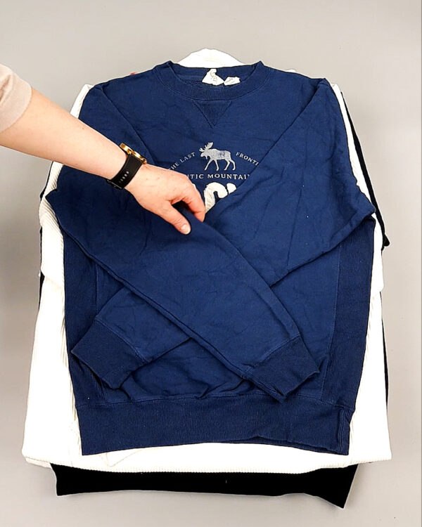 Фотография  964 - Толстовки муж BLUE CAN 084#10 кг оптом в Пскове и Псковской области