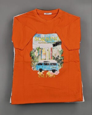 Купить Футболки мужские C-3141 (MEN T-shirt Sorbino) #4,8 кг оптом в Пскове и Псковской области