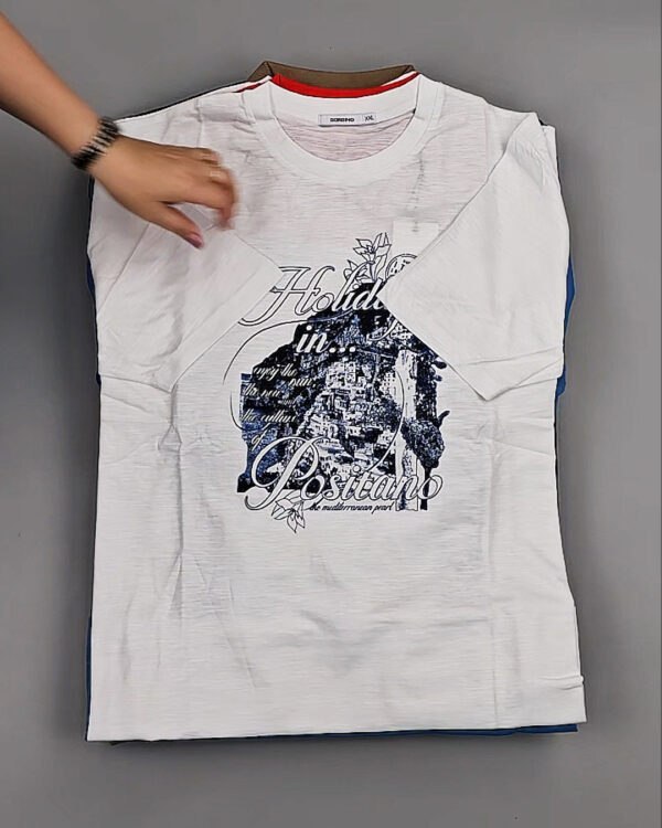 Фотография  515 - Футболки мужские C-3141 (MEN T-shirt Sorbino) #4,8 кг оптом в Пскове и Псковской области